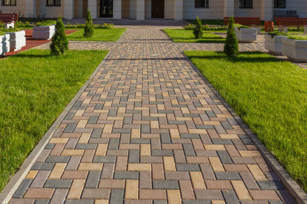 Best Driveway Paving Company  in Rainsville, AL